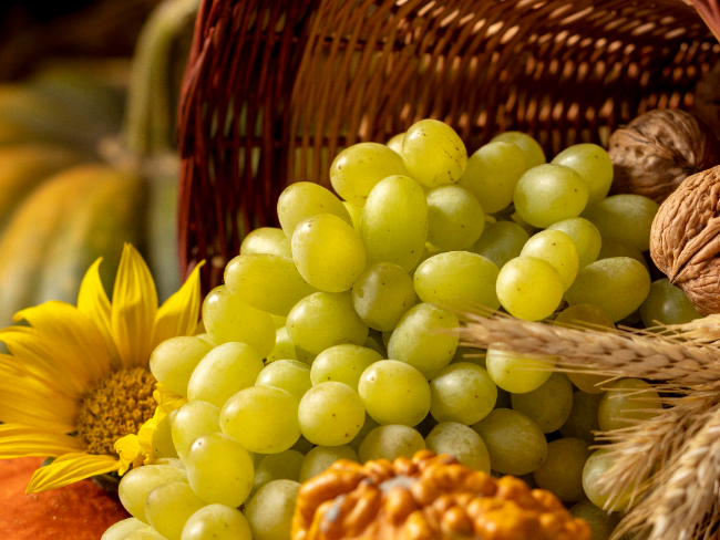 Fiesta de Primicias 2026